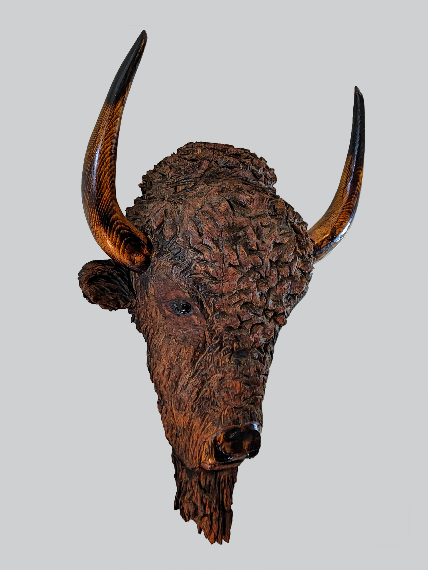 buffalo-002-web
