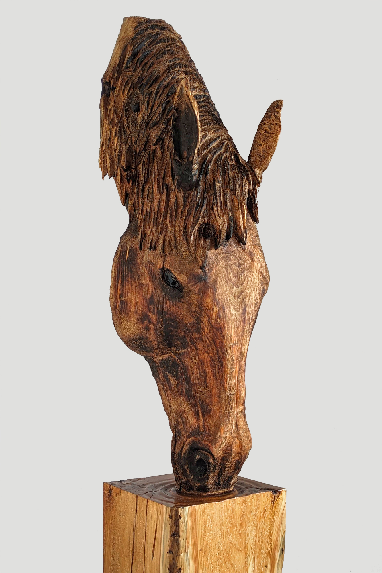 horse-001-web