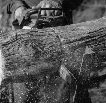 Carvings