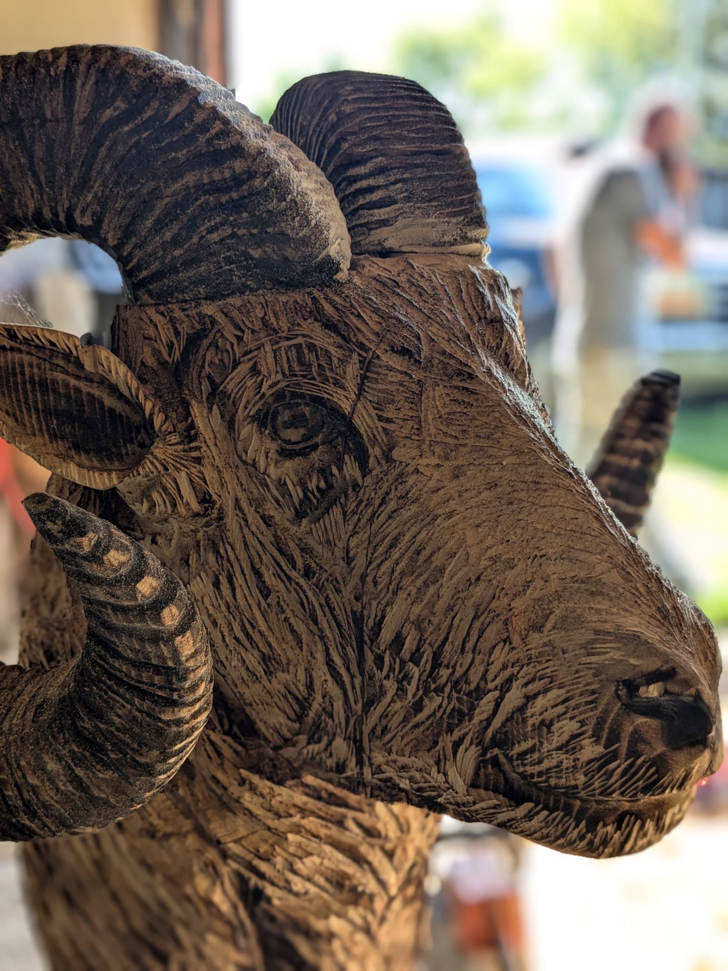 bighorn-007