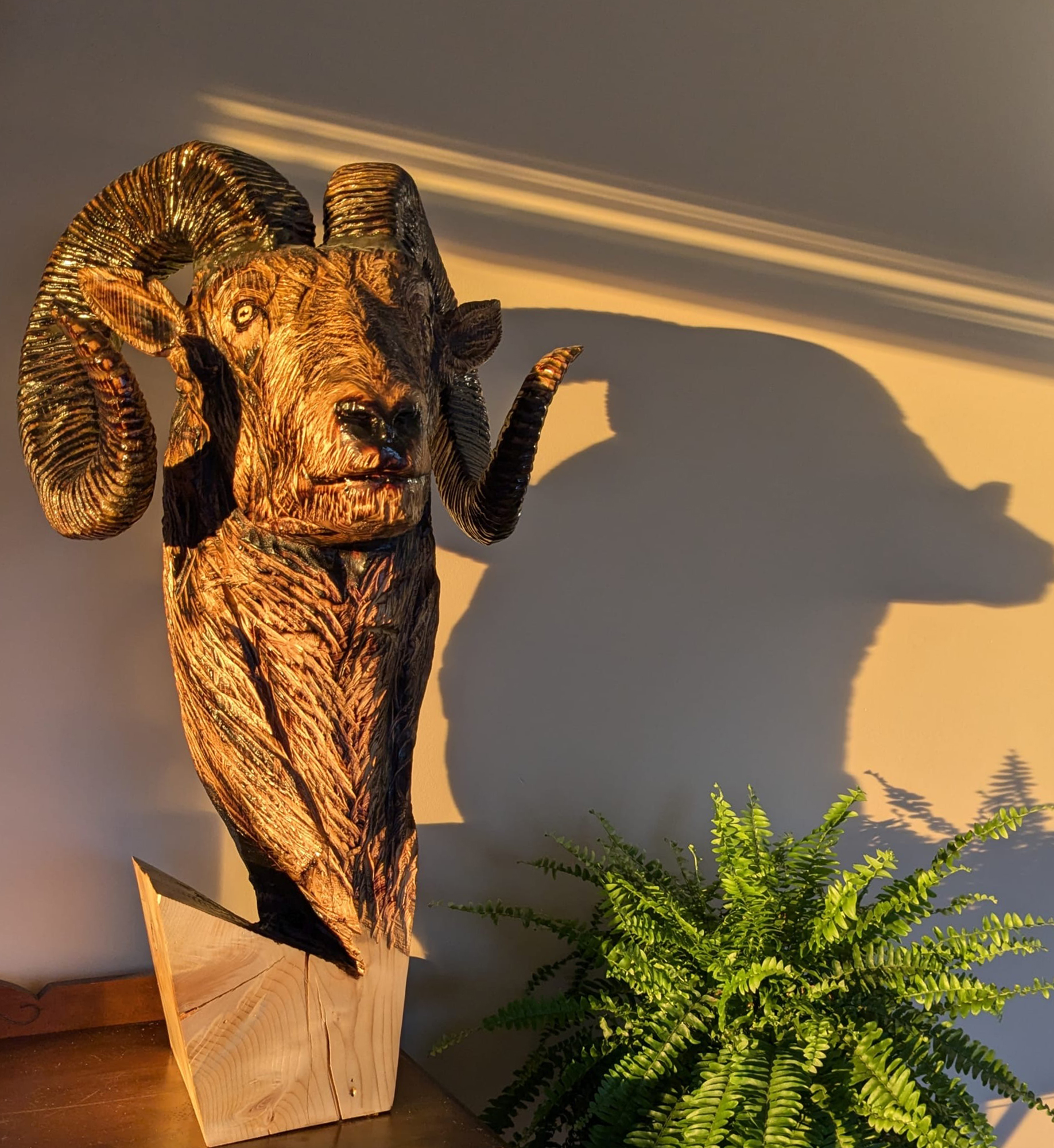 bighorn-009