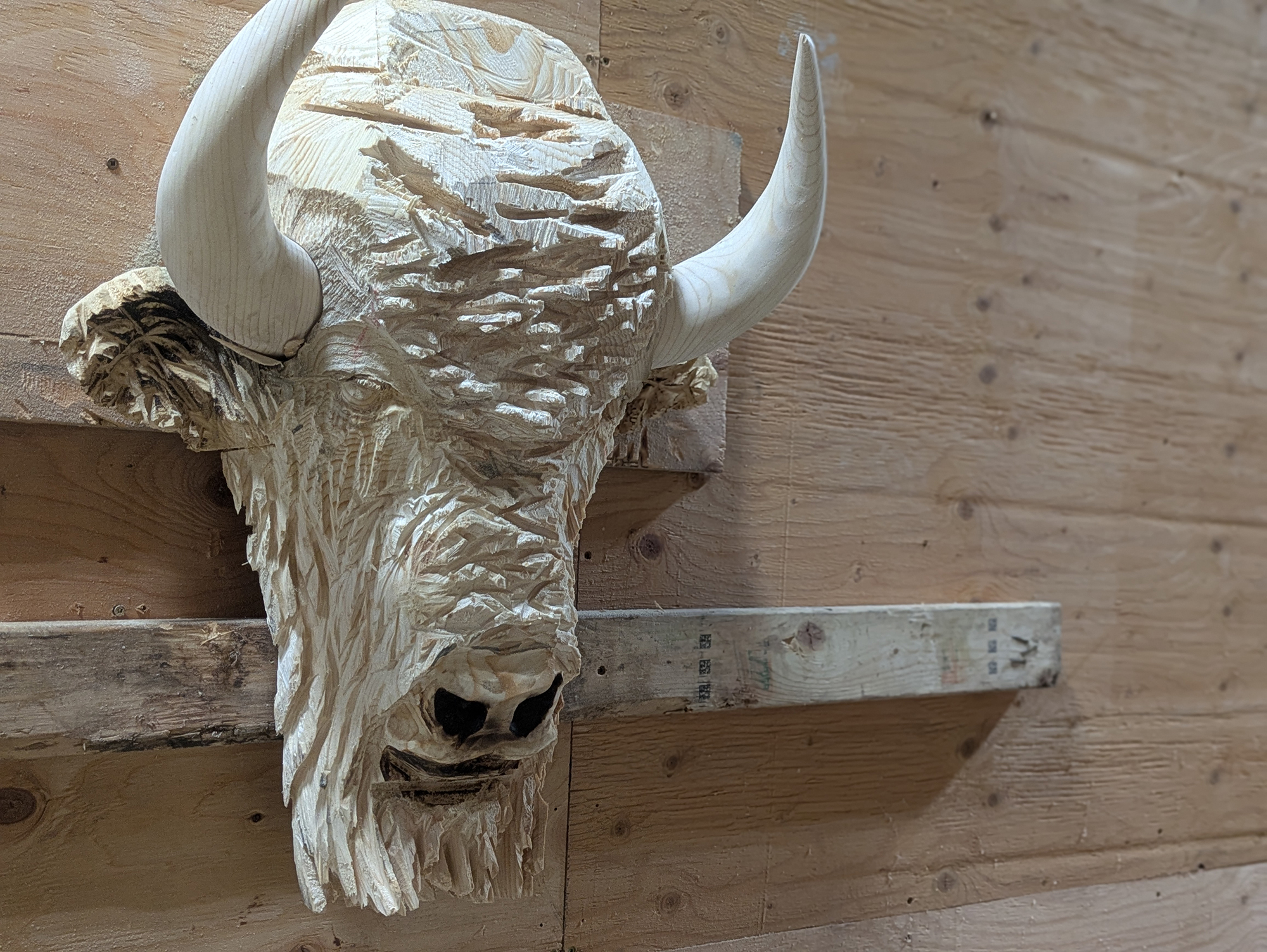 buffulo-003