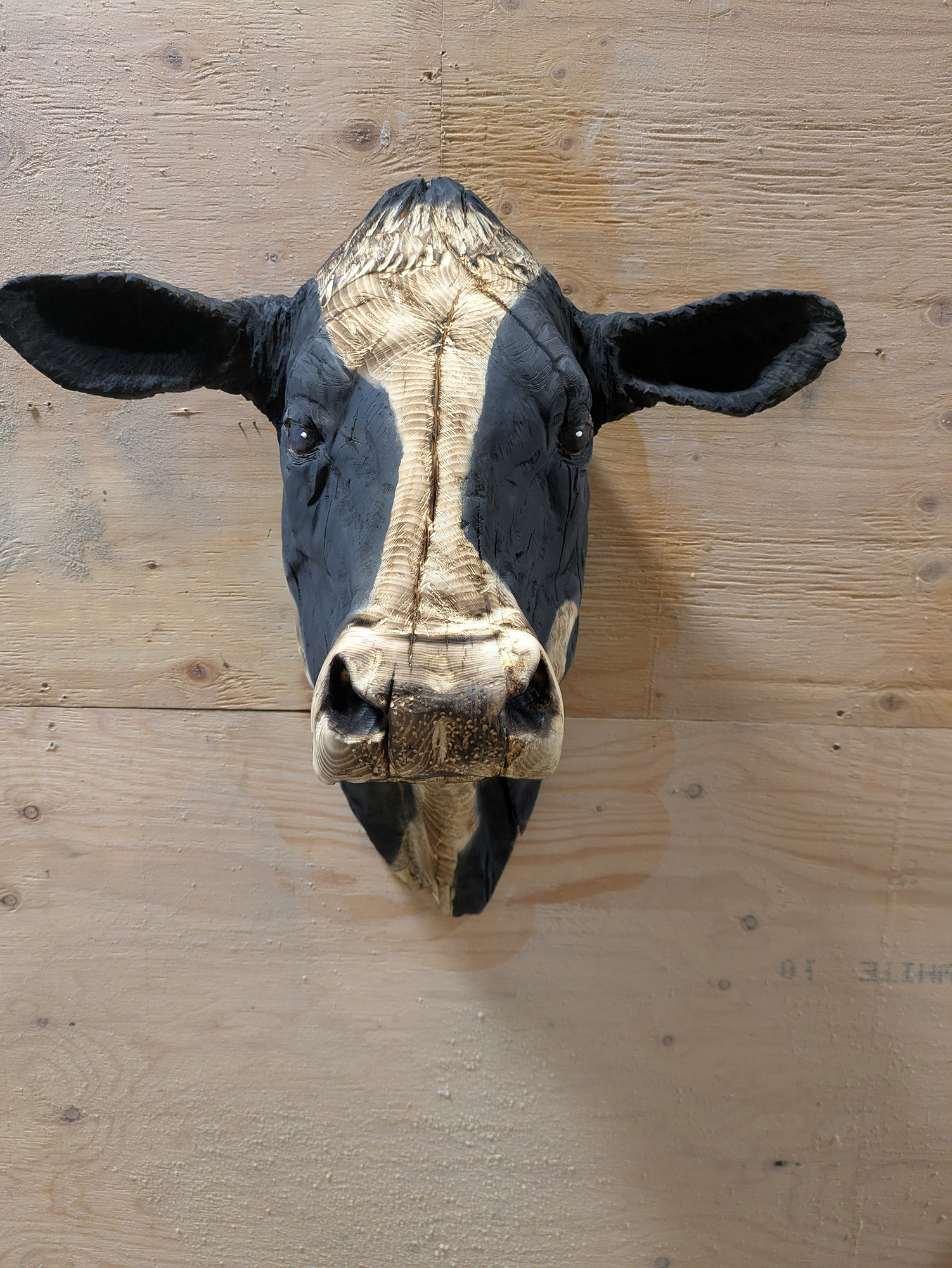 cow-001