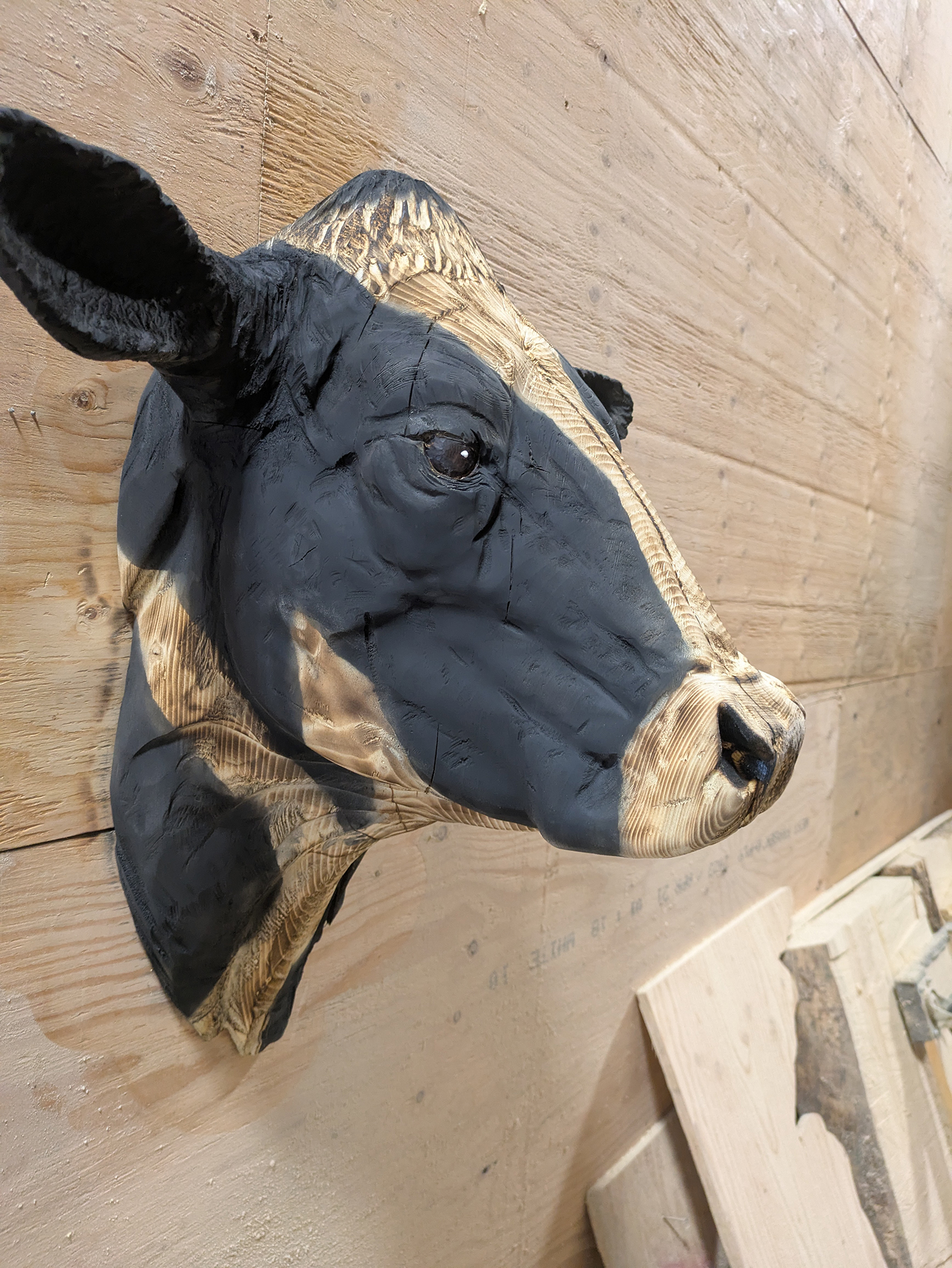cow-005