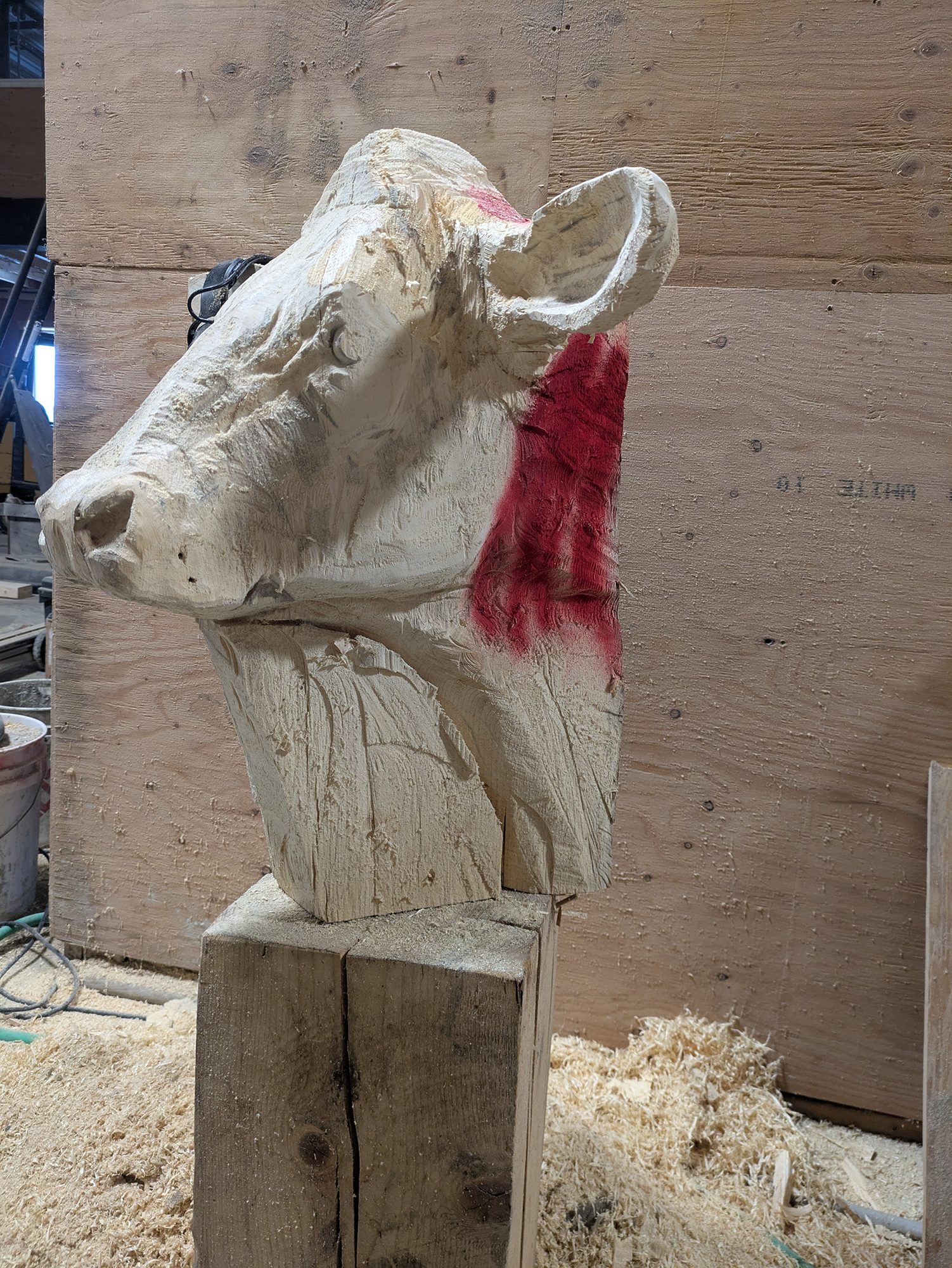 cow-007