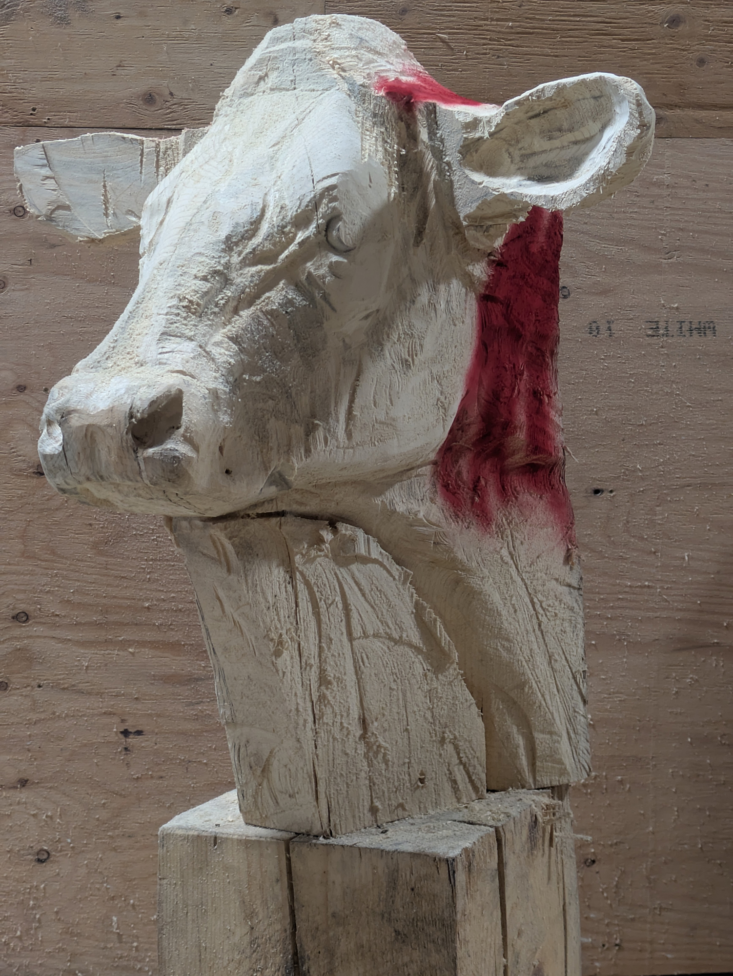 cow-008