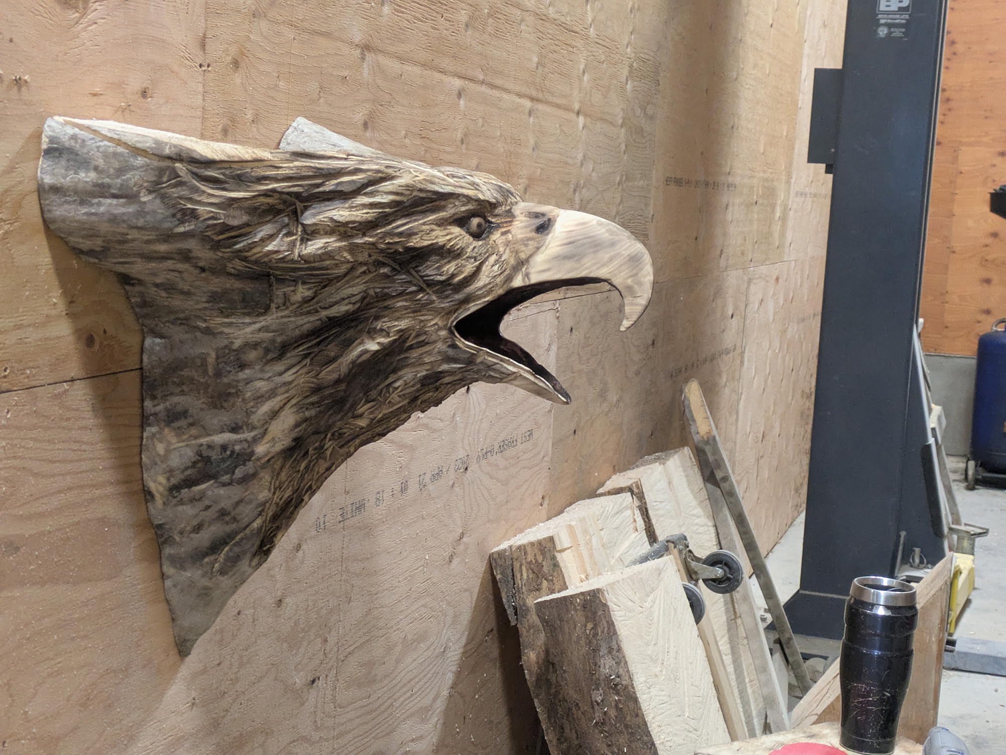 eagle-101