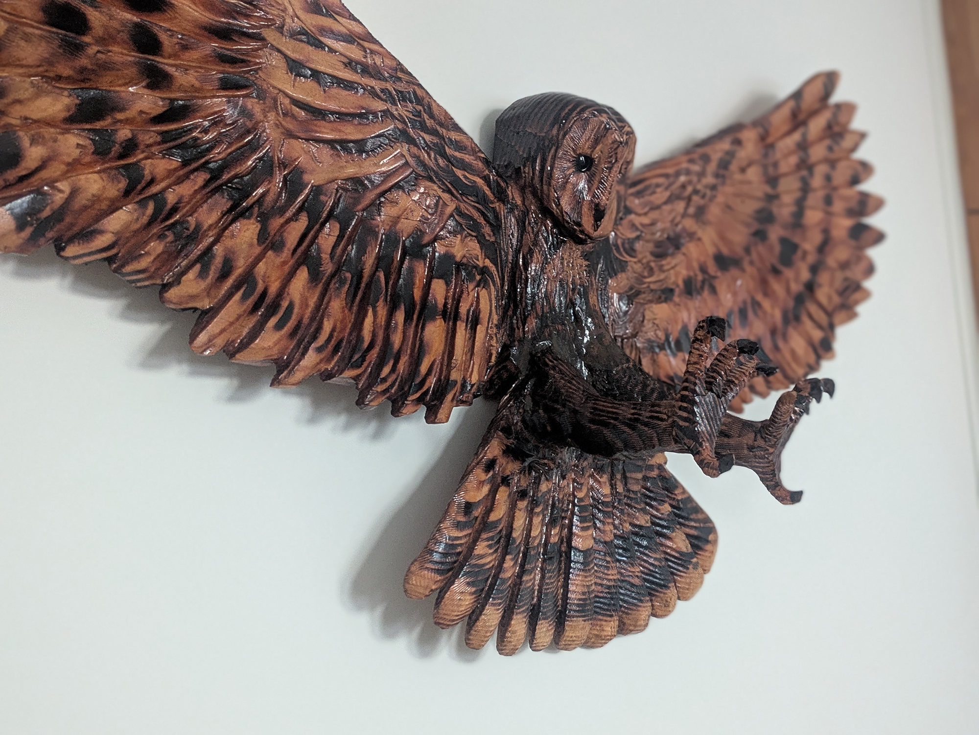 owl-005